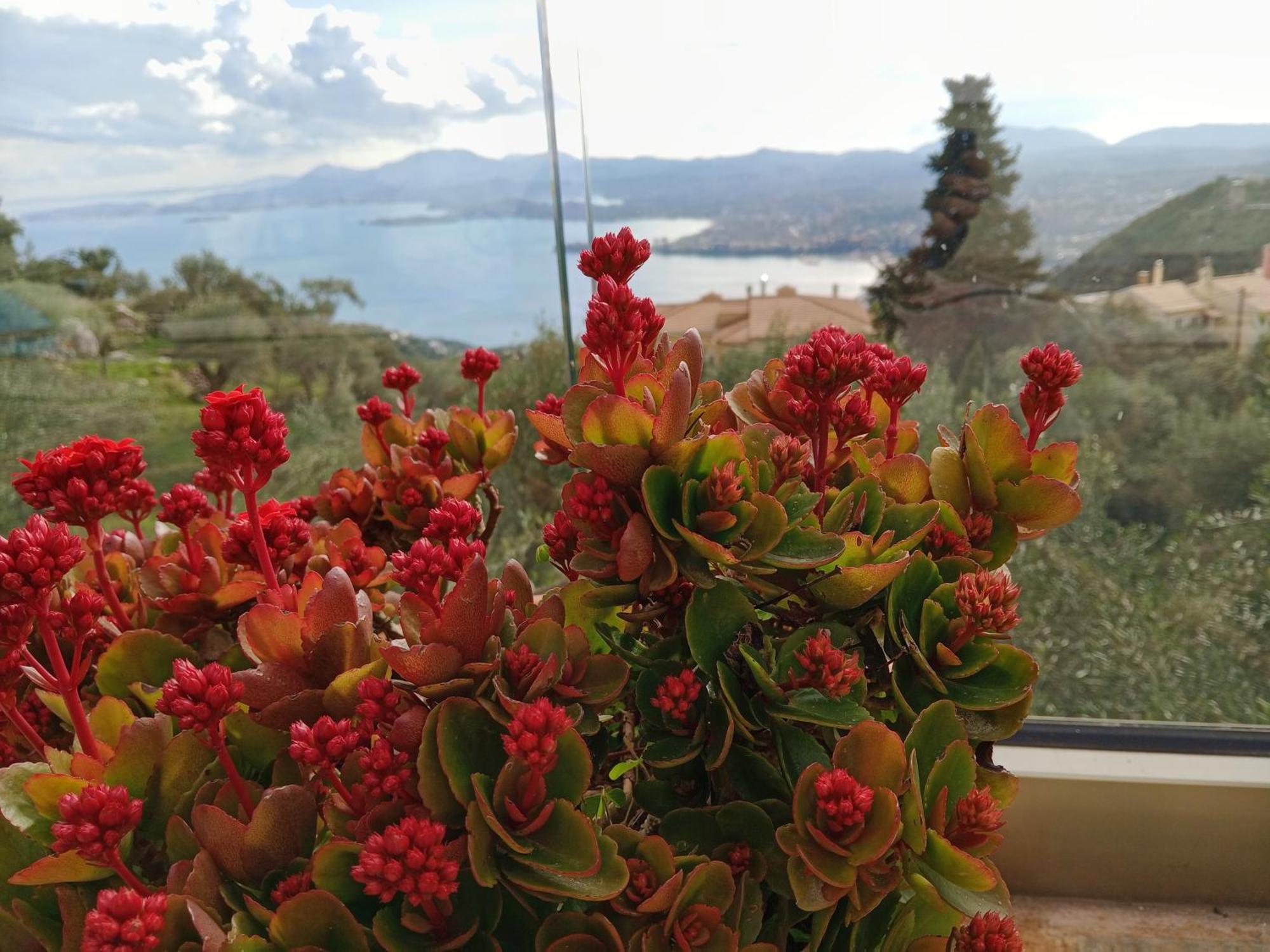 Villa Rizaria Sea View House Spartylas Esterno foto